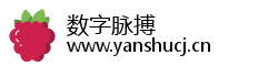 数字脉搏